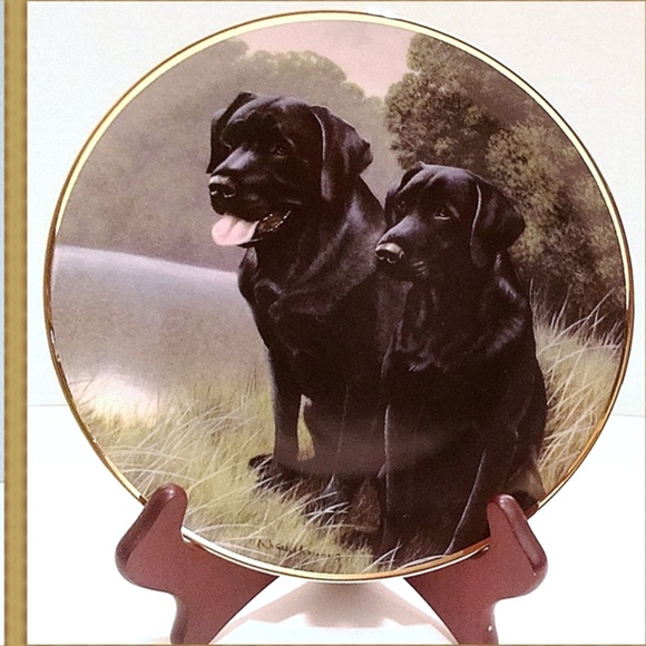 Nigel Hemming Plates Sporting & Canine Companion - Picture 6 of 6